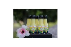 ヤマ・シークニン果汁70ml×5本セット【1407427】