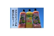グァバ&島みかんジュース　3本セット【1407859】