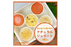 徳之島ワクワクジェラート　ティダ(太陽)のおくりもの　5個セット【1405145】