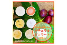 徳之島ワクワクジェラート　ティダ(太陽)のおくりもの　10個セット【1405146】
