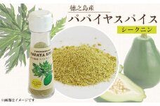 パパイヤスパイス　シークニン入り1本【1404476】