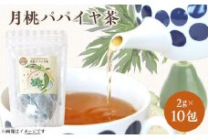 月桃パパイヤ茶　1袋(2g×10包)【1404479】