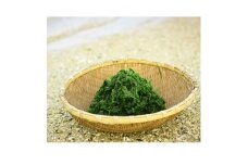 徳之島産　乾燥あおさ　2025年新物　30g【1404651】