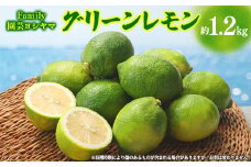 Family園芸ヨシヤマのグリーンレモン約1.2kg【1469859】