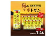 ＜毎月定期便＞奄美黒糖焼酎 島のナポレオン 900ml 紙パック 12本セット全12回【4074147】