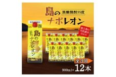 ＜毎月定期便＞奄美黒糖焼酎 島のナポレオン 900ml 紙パック 12本セット全3回【4074150】