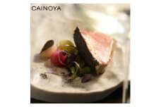 ＜京都 創作 イノベーティブ＞CAINOYA 塩澤隆由 伊仙町 gastronomyペアチケット【1670941】