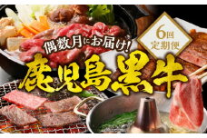 偶数月にお届け！鹿児島黒牛定期便 6回定期便　W032-017u