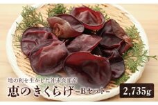 地の利を生かした沖永良部産 恵のきくらげBセット　W012-003u