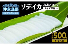 冷凍保存OK！エメラルドブルーの美しい海で育ったおいしいソデイカ冷凍ブロック500グラム（1～2人前）！　W022-028u