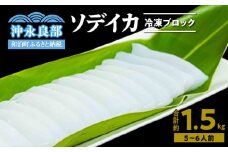 冷凍保存OK！エメラルドブルーの美しい海で育ったおいしいソデイカ冷凍ブロック1.5キロ （4～5人前）！　W022-029u