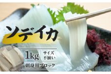 【サイズ不揃い】ソデイカ・刺身用ブロック 1kg/沖永良部島特産　W009-055u