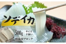 【サイズ不揃い】ソデイカ・刺身用ブロック  500g/沖永良部島特産　W009-056u