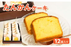 南の島の春を告げる香り豊かなたんかんケーキ！　W021-008u