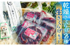 乾燥きくらげ50g×1袋/乾燥きくらげ10gスライス×1袋/生100g×6p　W031-007-1u