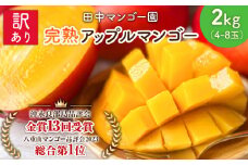 【2025年先行予約】訳あり 田中マンゴー園 完熟アップルマンゴー約2kg（4～8玉）（ご家庭用）　W001-008u