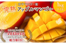 【2025年先行予約】沖永良部完熟アップルマンゴー1kg（2～3玉）　W001-009u