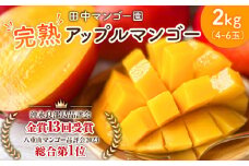 【2025年先行予約】沖永良部完熟アップルマンゴー2kg（4～6玉）　W001-010u