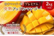 【2025年先行予約】田中マンゴー園のプレミアム完熟アップルマンゴー2kg（4玉） 　W001-012u