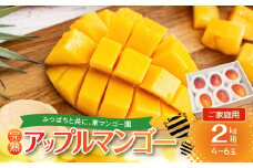 【2025年先行予約】≪ご家庭用≫東マンゴー園直送！完熟アップルマンゴー 2kg（4～6玉）　W014-010u