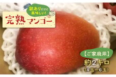 【2025年先行予約】安くて美味しい・完熟マンゴー（ご家庭用）2kg 4玉～6玉【7月初旬～8月下旬】　W009-032u