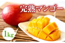 【2025年先行予約】ティダと汗水の恵み 絶品！沖永良部島の「完熟マンゴー」1kg【7月中旬～8月下旬】　W009-025u