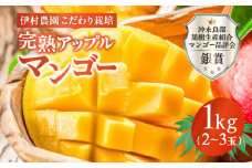 【2025年先行予約】伊村農園こだわり栽培！完熟アップルマンゴー1kg（2～3玉）　W026-001u