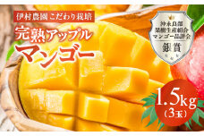 【2025年先行予約】伊村農園こだわり栽培！完熟アップルマンゴー1.5kg（3玉）　W026-003u