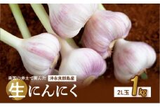 【2025年先行予約】農家厳選！南国の赤土で育んだ 沖永良部島産 生にんにく 2L玉 1kg【3月下旬～4月下旬】　W041-001u