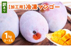 【2025年先行予約】「訳あり」加工用冷凍マンゴー1kg（2～3玉）/沖永良部島産　W009-078u