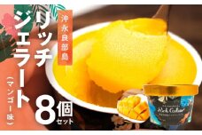 ■ 沖永良部島リッチジェラート（マンゴー味）8個セット　W009-081u