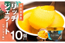 ■ 沖永良部島リッチジェラート（マンゴー味）10個セット　W009-082u