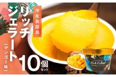 ■ 沖永良部島リッチジェラート（マンゴー味）10個セット　W009-082u