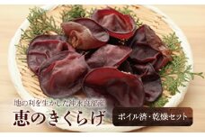 ■地の利を生かした沖永良部産 恵のきくらげ (ボイル済・乾燥セット)　W012-004u