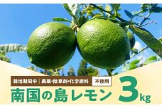 ■【先行受付】栽培期間中 農薬・除草剤・化学肥料不使用！南国の島レモン 3kg！【2025年9月～2026年2月下旬お届け】　W043-004u