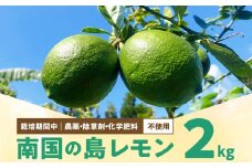 ■【先行受付】栽培期間中 農薬・除草剤・化学肥料不使用！南国の島レモン 2kg！【2025年9月～2026年2月下旬お届け】　W043-003u