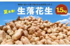 ■【先行予約】夏本番！珊瑚の島から贈り物！沖永良部島の赤土 生落花生1.5kg！【7月中旬～9月上旬】　W045-001u