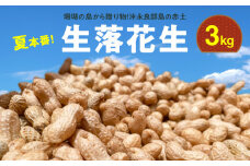 ■【先行予約】夏本番！珊瑚の島から贈り物！沖永良部島の赤土 生落花生3kg！【7月中旬～9月上旬】　W045-002u