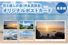 花と癒しの島！沖永良部島オリジナルポストカード（風景編）　W060-001u