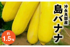 完全自然栽培「沖永良部島の島バナナ1.5キロ」　W029-009u