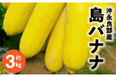  完全自然栽培「沖永良部島の島バナナ3キロ」　W029-001u
