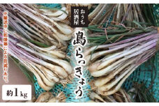 【2025年先行予約】おうち居酒屋。島らっきょう 約1kg/沖永良部島産【4月初旬～7月下旬】　W009-030u-01