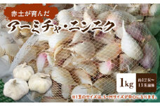 【2025年先行予約】赤土が育んだアーミチャ・ニンニク 1kg【4月初旬～6月中旬】　W009-031u-01