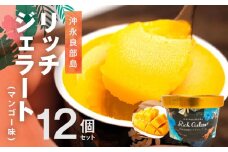 ■ 沖永良部島リッチジェラート（マンゴー味）12個セット　W009-083u