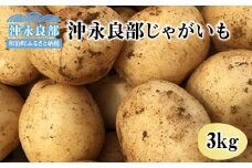 【2025年先行予約】私も惚れたホクホク食感！まるとよ農産の「沖永良部じゃがいも」3kg！【3月中旬～5月下旬】　W009-035u