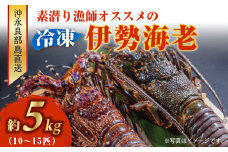沖永良部島直送！素潜り漁師オススメの冷凍伊勢海老 約5kg（10～15匹）！　W030-005u