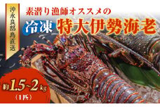 ■沖永良部島直送！素潜り漁師オススメの特大冷凍伊勢海老 約1.5～2kg（1匹）！　W030-009u