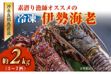 沖永良部島直送！素潜り漁師オススメの冷凍伊勢海老 約2kg（3～7匹）！　W030-011u