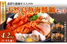 ■沖永良部島直送！素潜り漁師オススメの天然島魚 海鮮鍋セット 4.2kg（6～8人前）　W030-014u