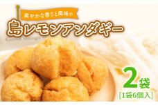 爽やかな香りと風味の「島レモンアンダギー（6個入）」2袋　W011-118u